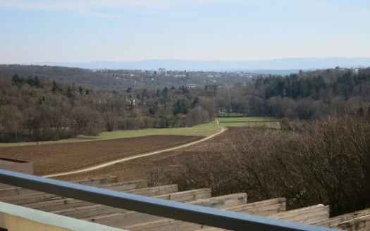 Traumhafte Aussicht am Ramsbachtal – freie Penthousewohnung mit Aufzug, Terrasse & TG-Platz