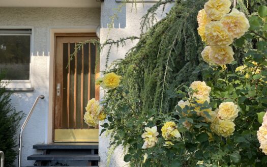 Einfamilienhaus als DHH in Stuttgart-Vaihingen