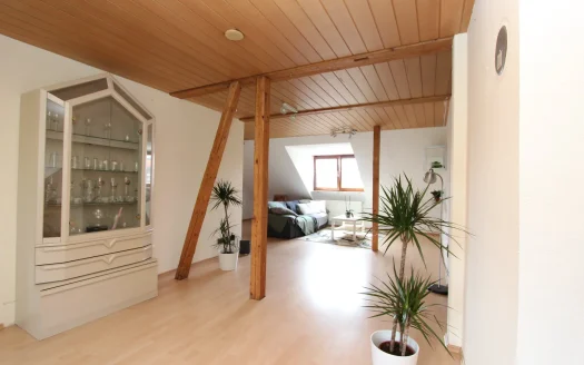 Außergewöhnliche DG-Wohnung in Stuttgart-West