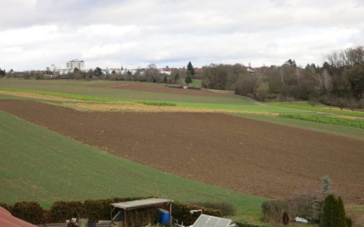 Einfamilienhaus mit Garten zu vermieten