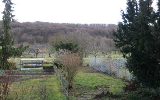 Einfamilienhaus mit Garten zu vermieten