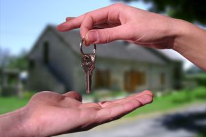 immobilier