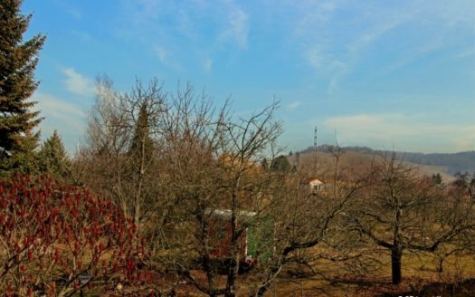 Haus zu verkaufen in Stuttgart-Untertürkheim (Luginsland)
