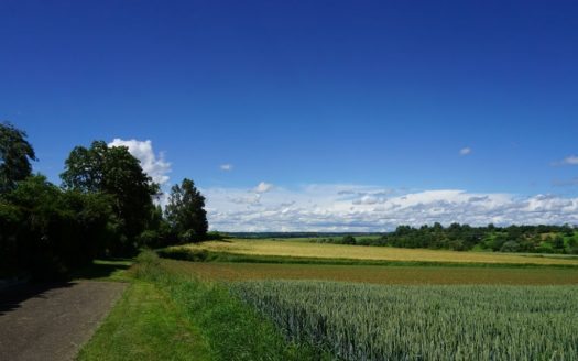 Hausverkauf Dettingen