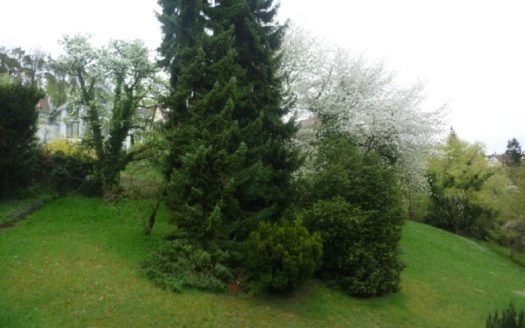 Wohnung zu verkaufen in Stuttgart-Gablenberg